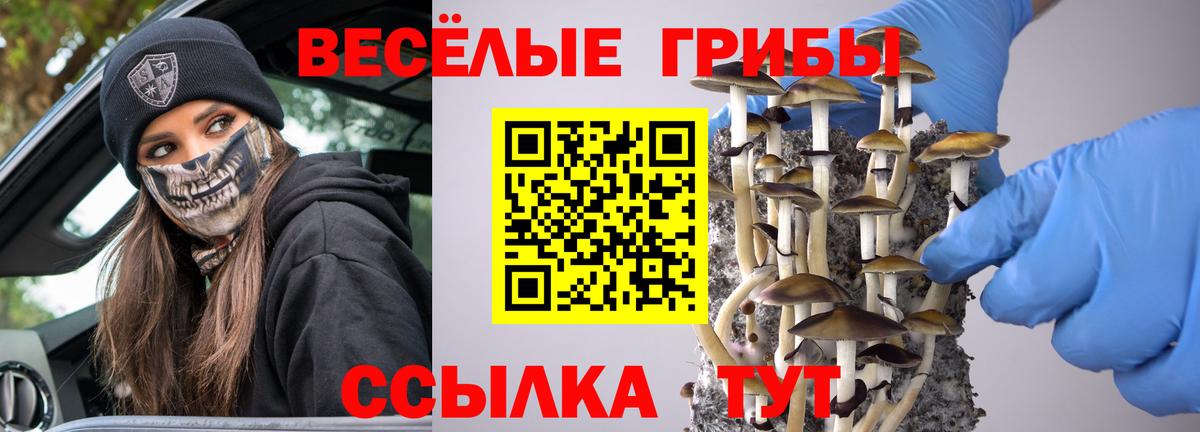 Мценск  Псилоцибиновые грибы Magic Shrooms  Вход с VPN 