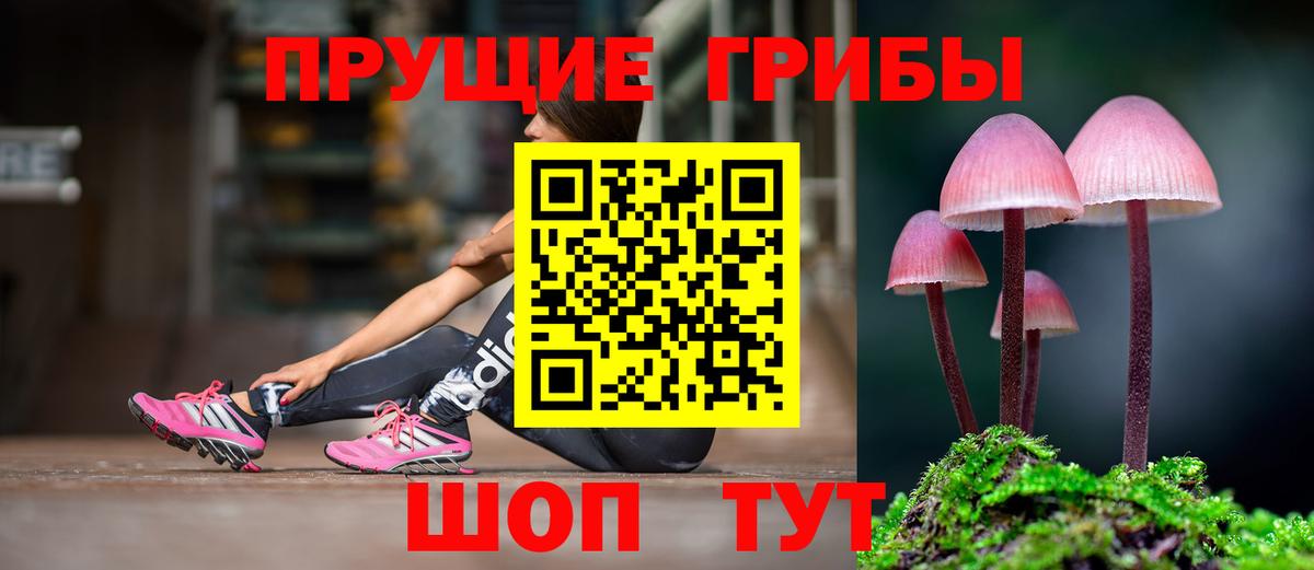 Псилоцибиновые грибы MAGIC MUSHROOMS Мценск